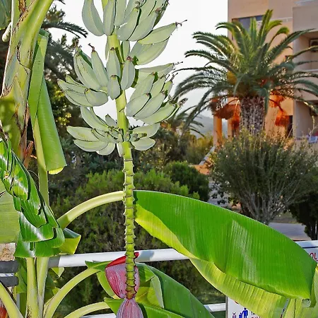 Roseland's Semesteranläggning (resort)