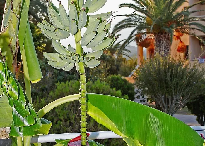 Roseland's Ośrodek wypoczynkowy